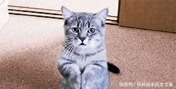 中国5座名桥，最后一个被称国家的一道“命脉”武警全天守候！