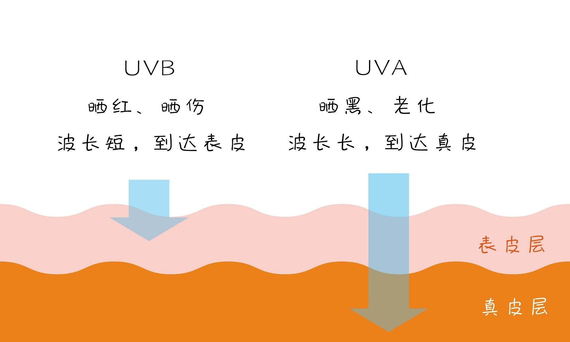  #指南#夏季防晒指南：科学防晒才能避坑