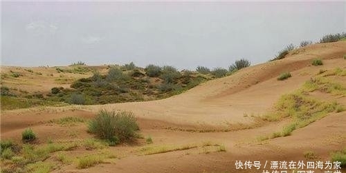 英国人在陕西特地去看沙漠，下车后懵了你们竟然喊这里叫沙漠