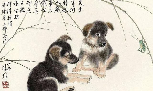 『出血』被猫咬伤出血了，会得狂犬病吗？什么是十日观察法？