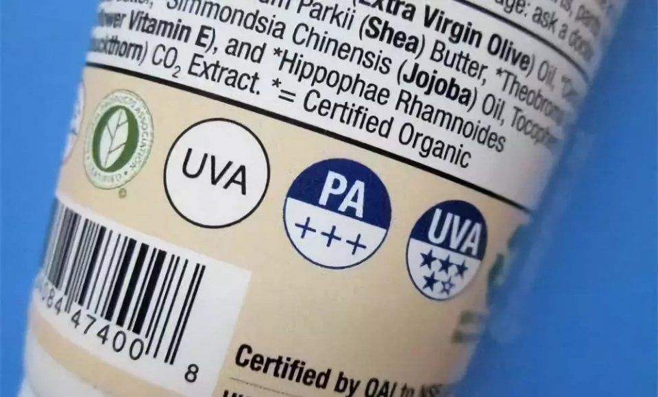 又到一年军训季|那年学姐让我防晒我没听，结果……