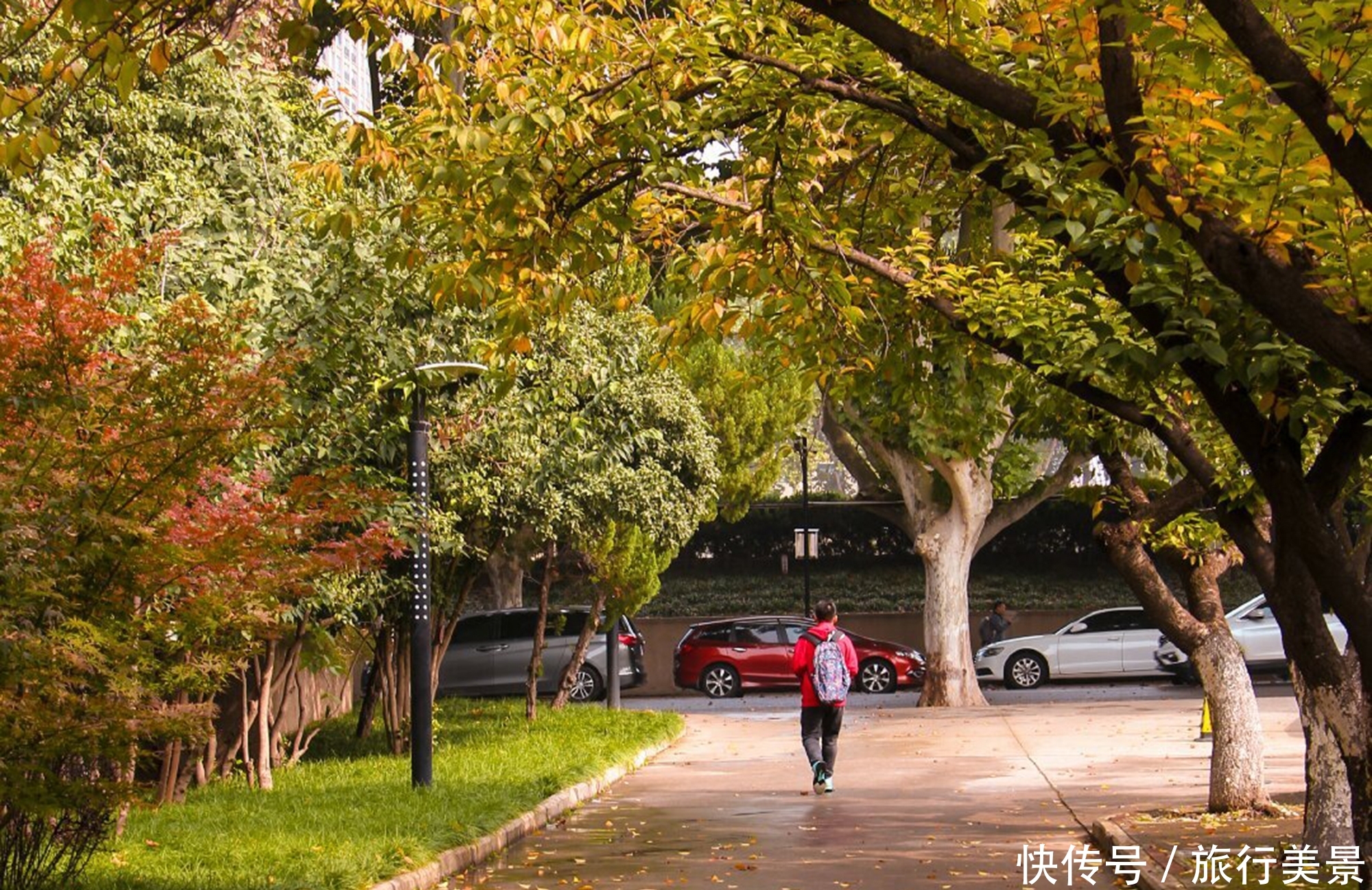 秋天的西安交通大学，五彩缤纷的风景，让人流连忘返