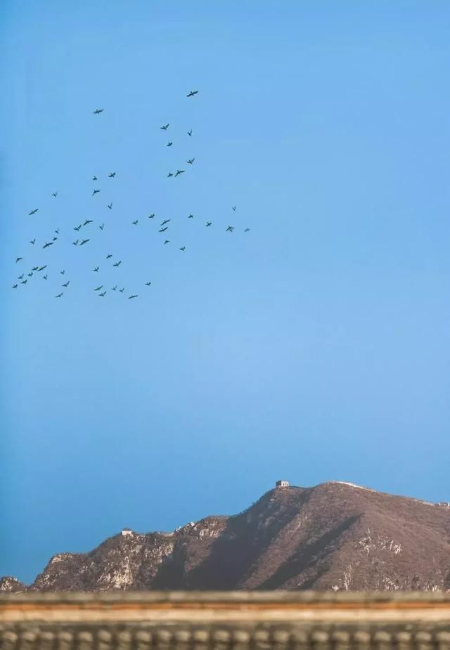 惊艳设计圈的10套老宅改造，真美！