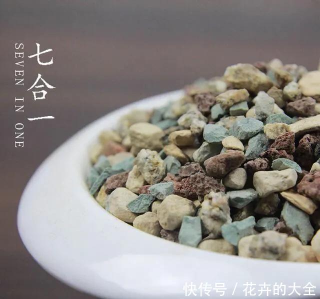  【多肉的时】多肉“铺面”的那些事儿