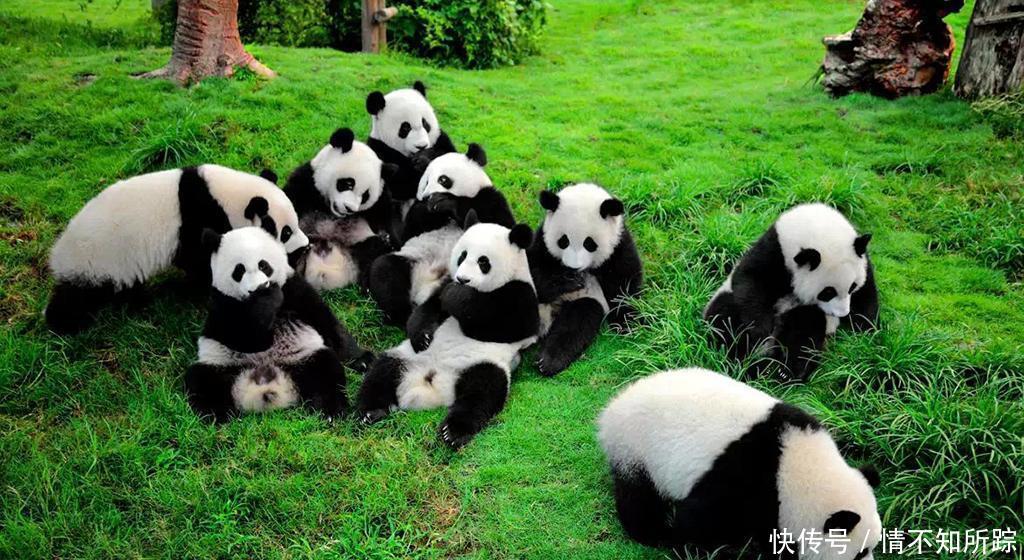 中国10大超级大城市, 第一名你想不到