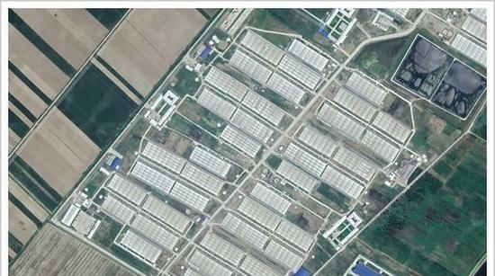  中国：现在养猪能赚钱吗？中国养猪首富牧原股份秦英林身价达100