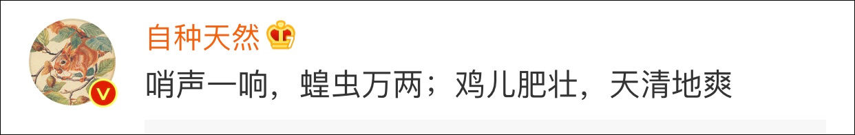  「纪录片」4000亿蝗虫肆虐印巴，我国人民19年前养鸡斗蝗的纪录