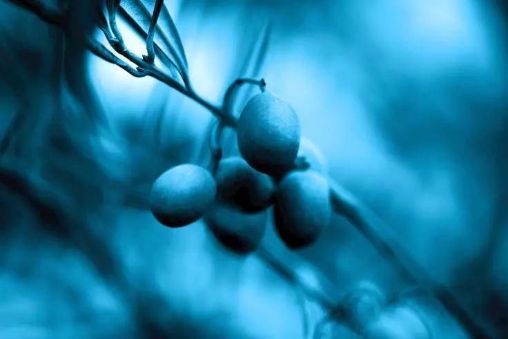 这个夏天，继续开启#蓝色乐活#力吧!