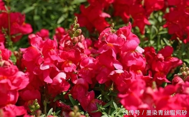 『性格』这四大星座女生不喜欢浓妆艳抹