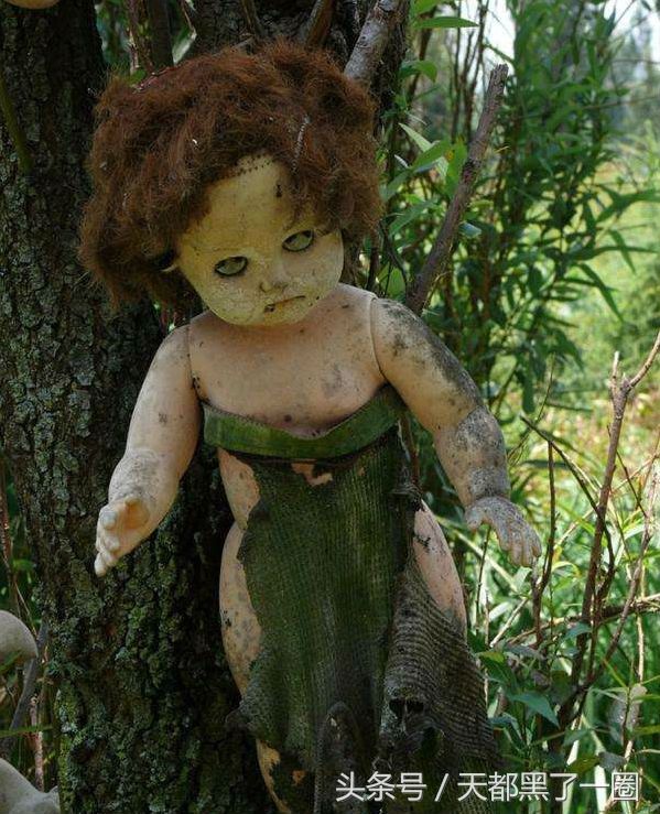 实拍墨西哥娃娃岛:一千多个鬼娃娃遍布于全岛,你敢去吗?