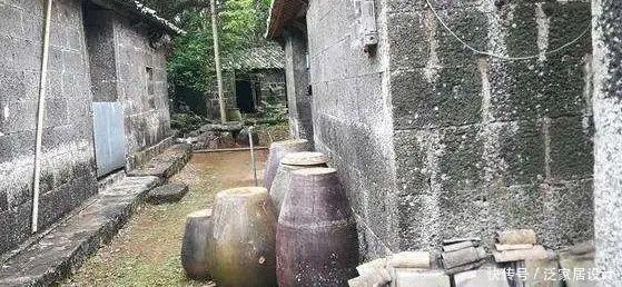 『放进』村里的旧水缸,放进一段藕根,开出满满的莲花