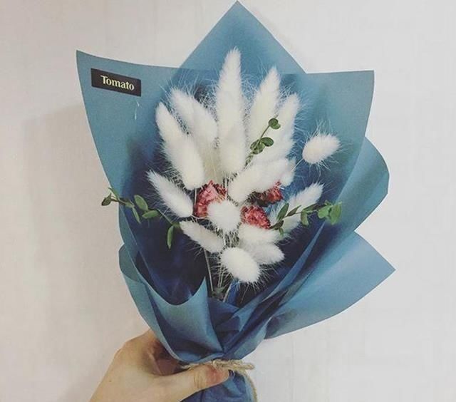  [花语]花艺界的奇葩花材，你知道多少？可别送错了人
