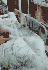  段子：笑话段子：这位姑娘遛狗的方式我很喜欢，你呢，有什么感觉么？