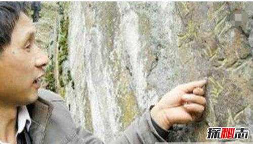 重庆神秘天书之谜，特殊符号暗藏大秘密(疑似外星人雕刻)