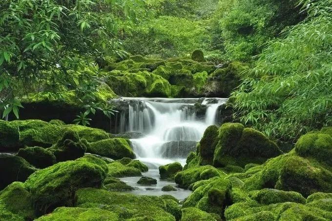 仅十几万人口的贵州小县，拥有堪比张家界的山，不输九寨沟的水!