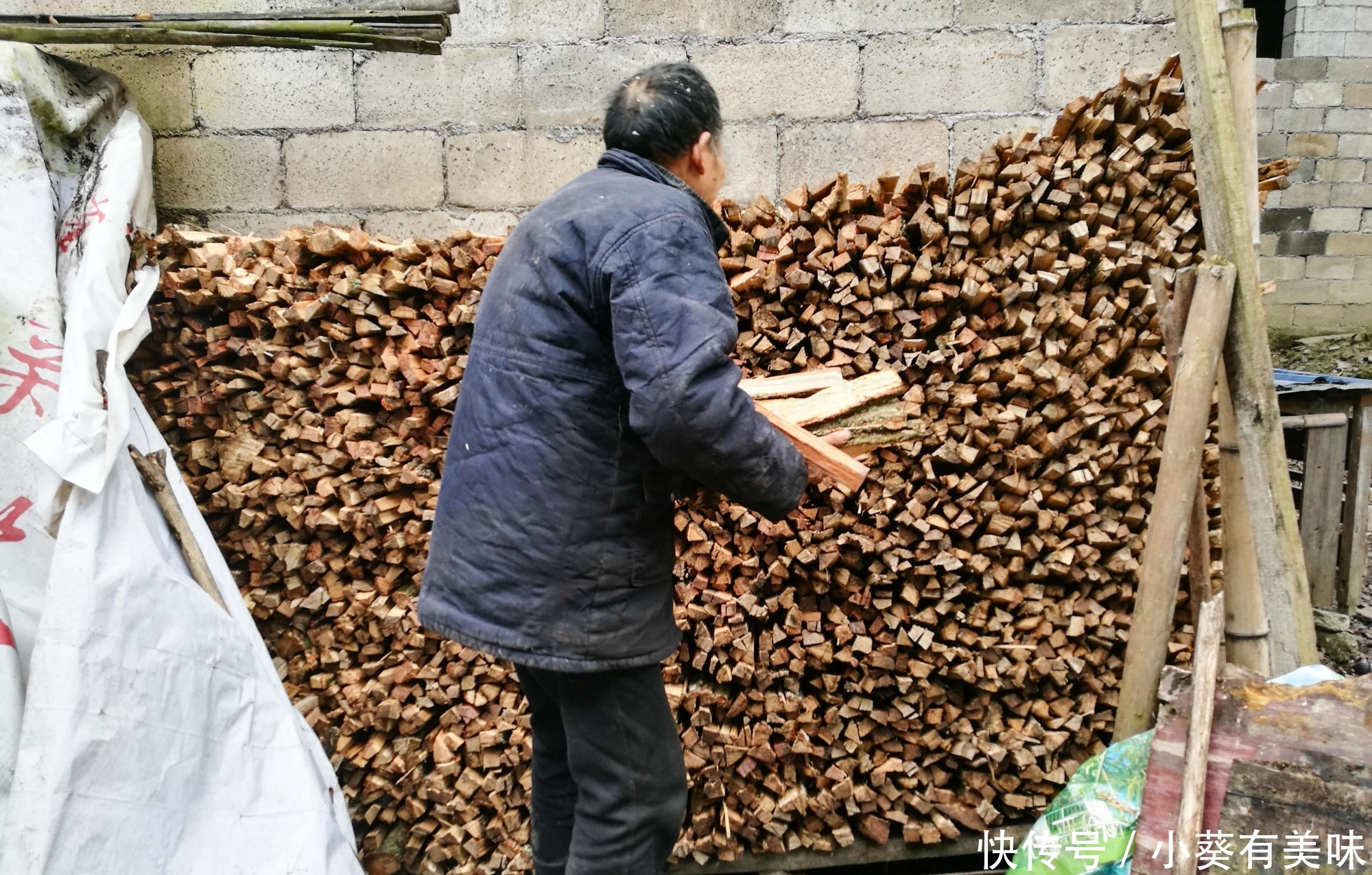  [每家]青杠树当柴火，每吨400元，农家乐老板争相购买，每家都有