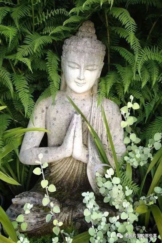 你肯定没见过的奇景照片！太震撼太壮观了！值得收藏