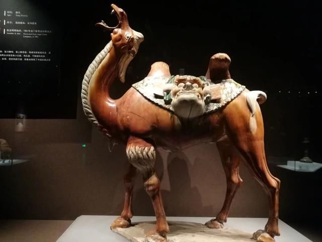 洛阳哪里好玩?来，看这里!