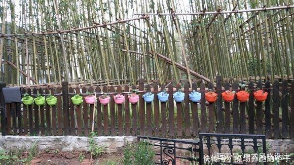  「李小姐还」她将荒芜的后院，改造成最美花园，完工一年后，让人惊艳