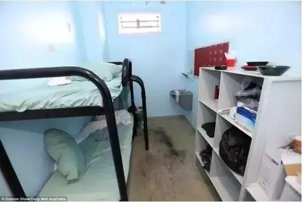 重磅!昨天曝性侵铁证 董璇今日砸1500万换高云翔保释成功