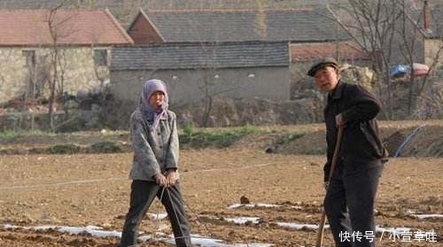 一个多月后,农村这种树要“遭殃”了,有的农民却靠它亩入万元！