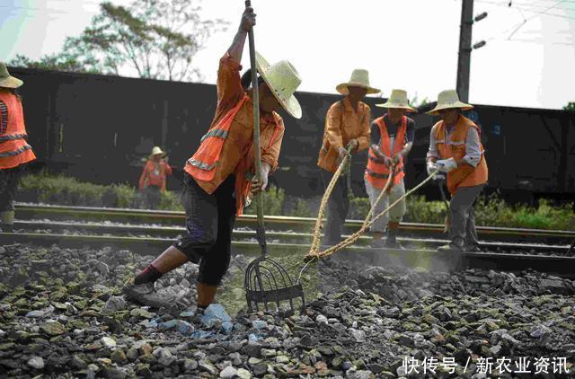 未来三年，农村将迎来新的“洗牌”，农民要提前做好打算