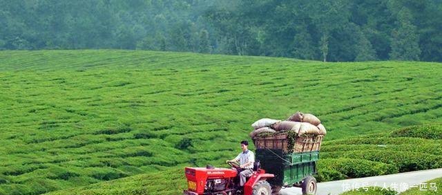 农村未来十年，这五个行业绝对吃香，想赚钱的早做打算