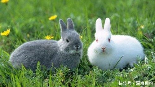 今后2年，农村5个生意不能干了，越干越穷，农民提前转行