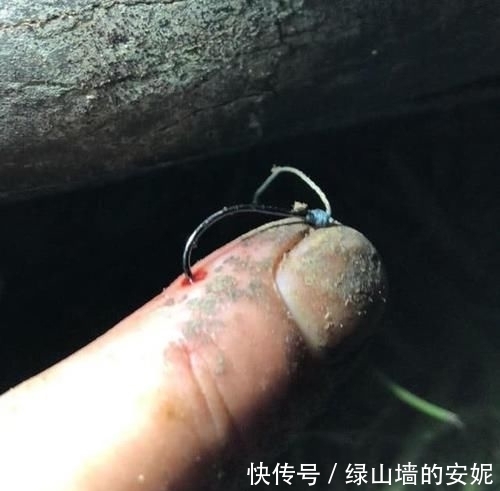 『子线』线太粗没口,太细又切线怎么办?这样搭配既灵敏又不跑鱼,记牢了
