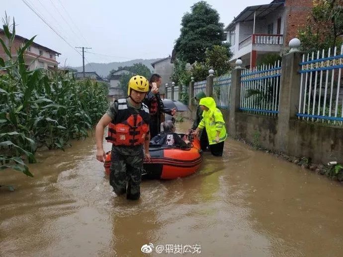 辟谣！四川暴雨与石犀移位无关，鳄鱼均在救护站内！这10个谣言不