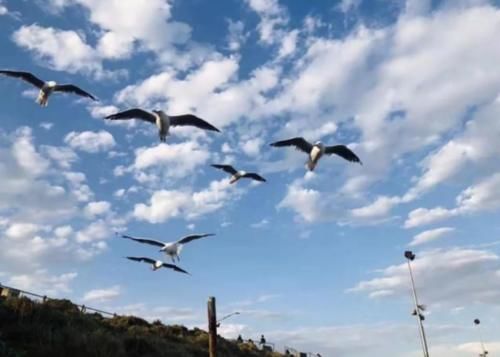  养老金|移民成为“外国人”的人，还要“舔着脸”拿国内养老金，