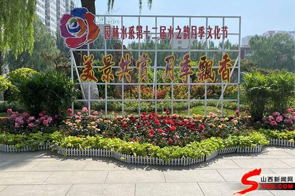  「街心公园第」“花中皇后”绽放龙城 太原两所公园打造月季文化节