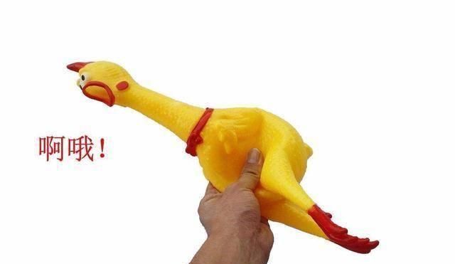 #不瞒你说#不瞒你说,这6种东西对猫咪来说是“克星”,会让它很害怕