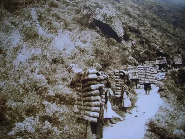 “大家好，我叫川藏线，是一个成熟的公路，这是我的自我介绍”