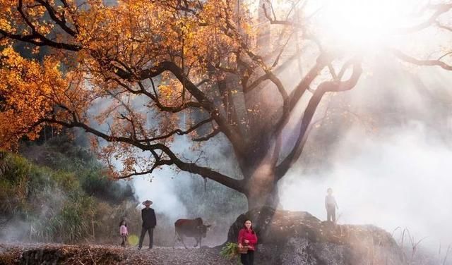 如何摄影如何摄影