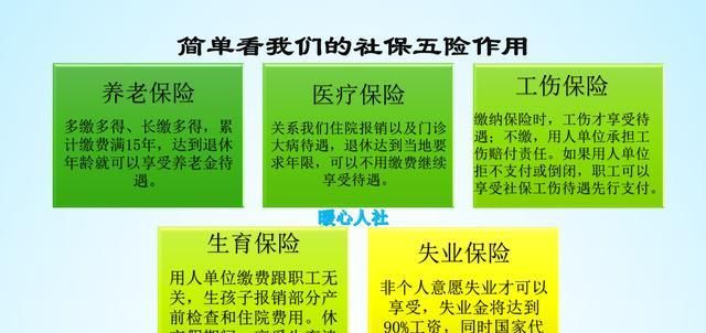  「医保」2019年还能不能补缴2018年6、7、8月的社保费呢？