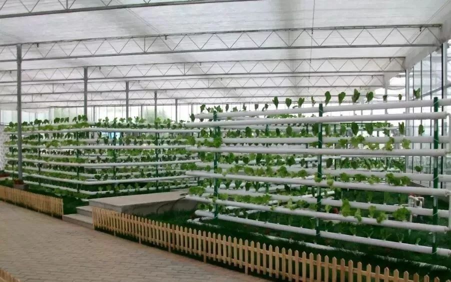 种新型的水培设施,可采用立体,平铺等结构方式,以种植叶菜类作物为主