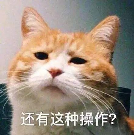 昨天的塑料袋你爱搭不理，今天的塑料袋只有时髦女孩看得起