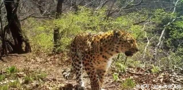 好消息！河南这个地方再添国家级金名片！全国仅6个！