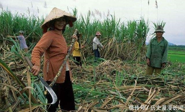 大量越南人定居在广西，当地人是如何看待的？答案让人感到意外！