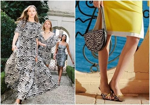  『北美』说她是“北美小野马”，还不是因为斑马控