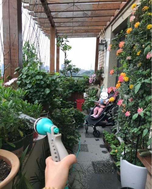  花草：别嫌阳台小，种点花草，感觉真好！