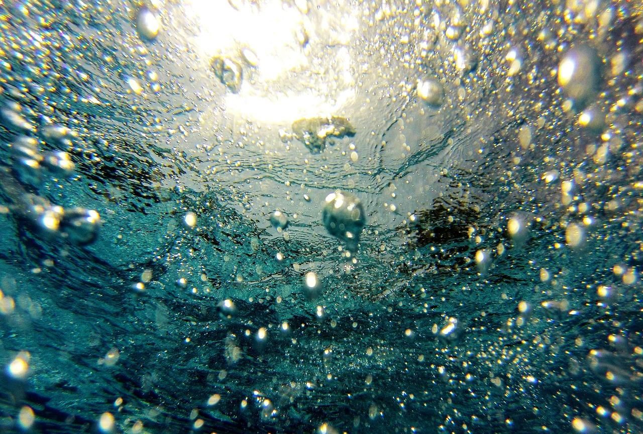  #地球#生物存活不依靠氧气！地球出现大量氧气之前，是一个怎样的世界？