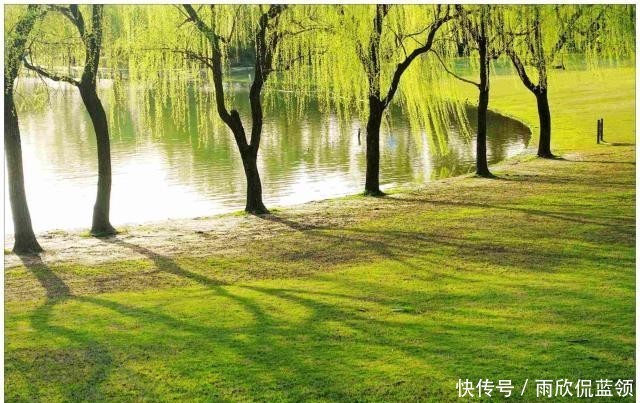 五树不入宅是什么意思?农村人为何不