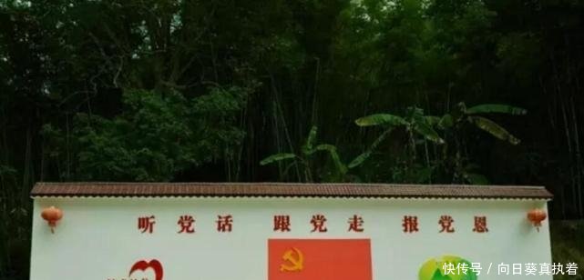  【高速】广西这个县厉害了! 高速公路贯通全县乡镇, 县域经济腾