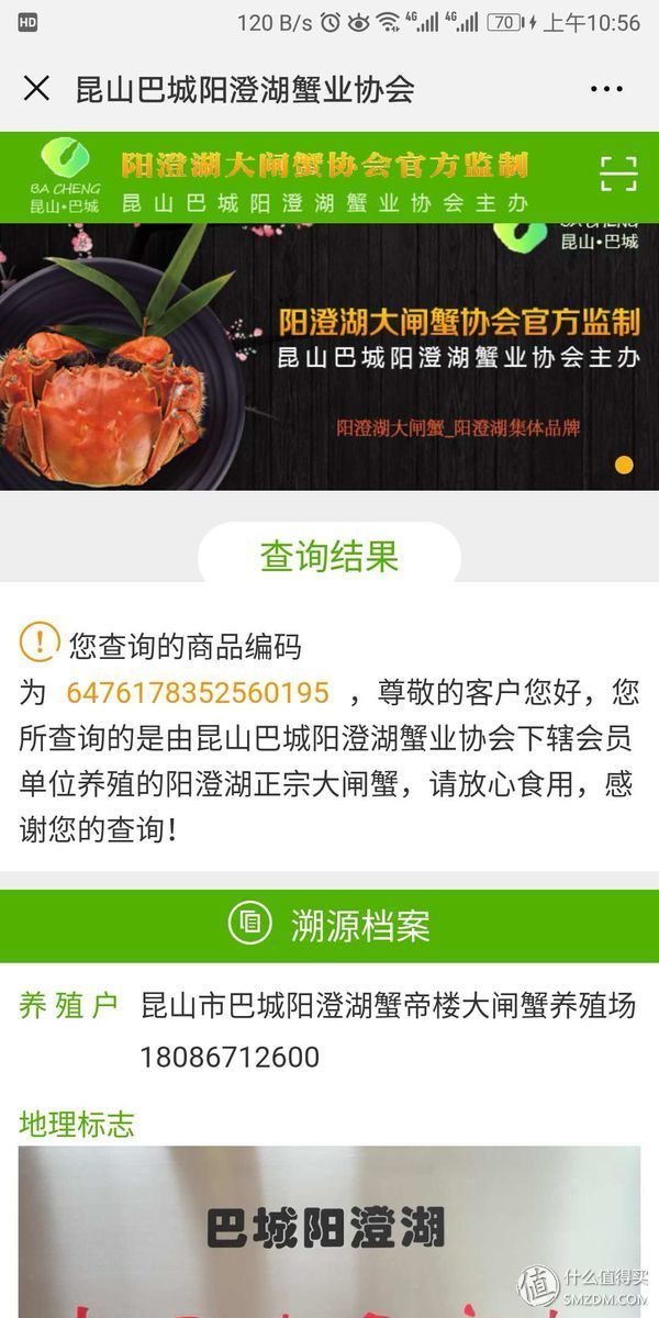 任你天花乱坠，简单一试，我就知道这大闸蟹值不值得吃!