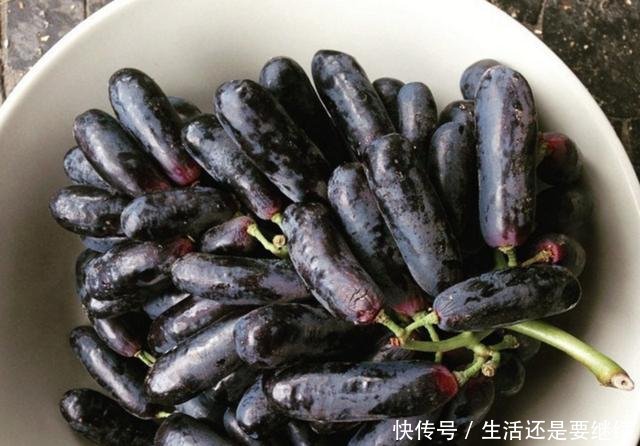 这农民种果中珍品1年赚100万 果15元1斤 亩产5000斤