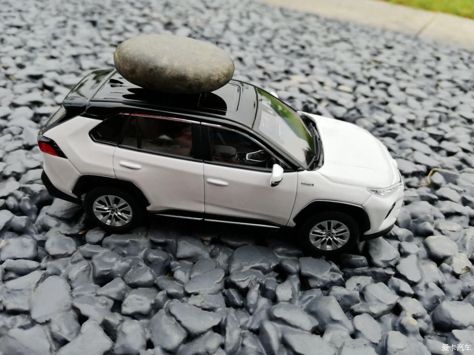 特别:十里春风,打卡滨江公园