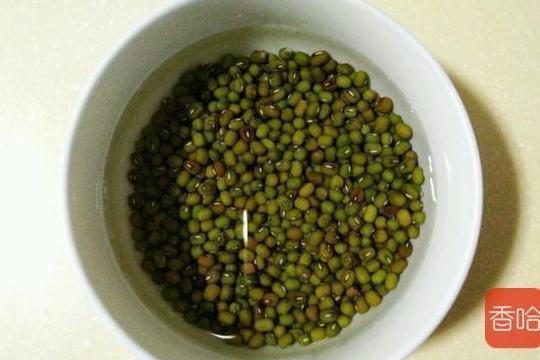 几月份种黄豆种子 t018a53d7365602603c.jpg