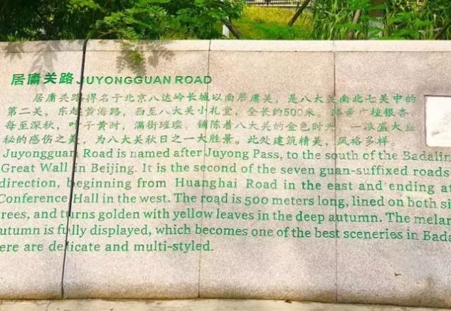 就在青岛！地铁直达、免费开放、紧邻八大关、隐蔽的小树林...这